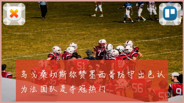 乌戈桑切斯称赞墨西哥防守出色认为法国队是夺冠热门