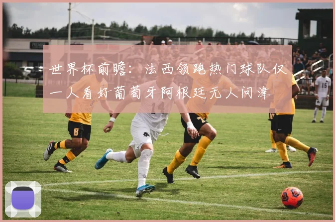 世界杯前瞻：法西领跑热门球队仅一人看好葡萄牙阿根廷无人问津